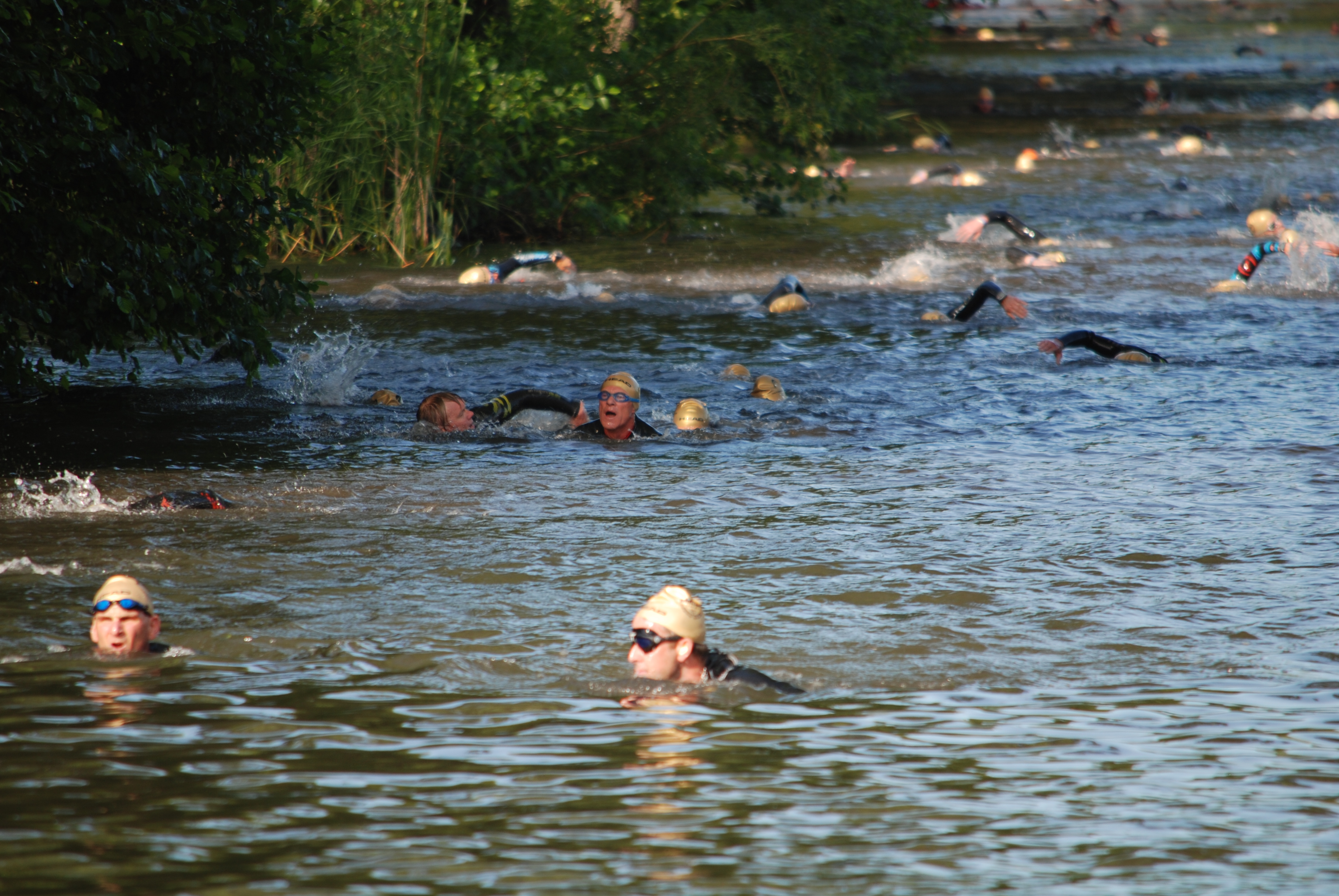 DSC_0310.JPG