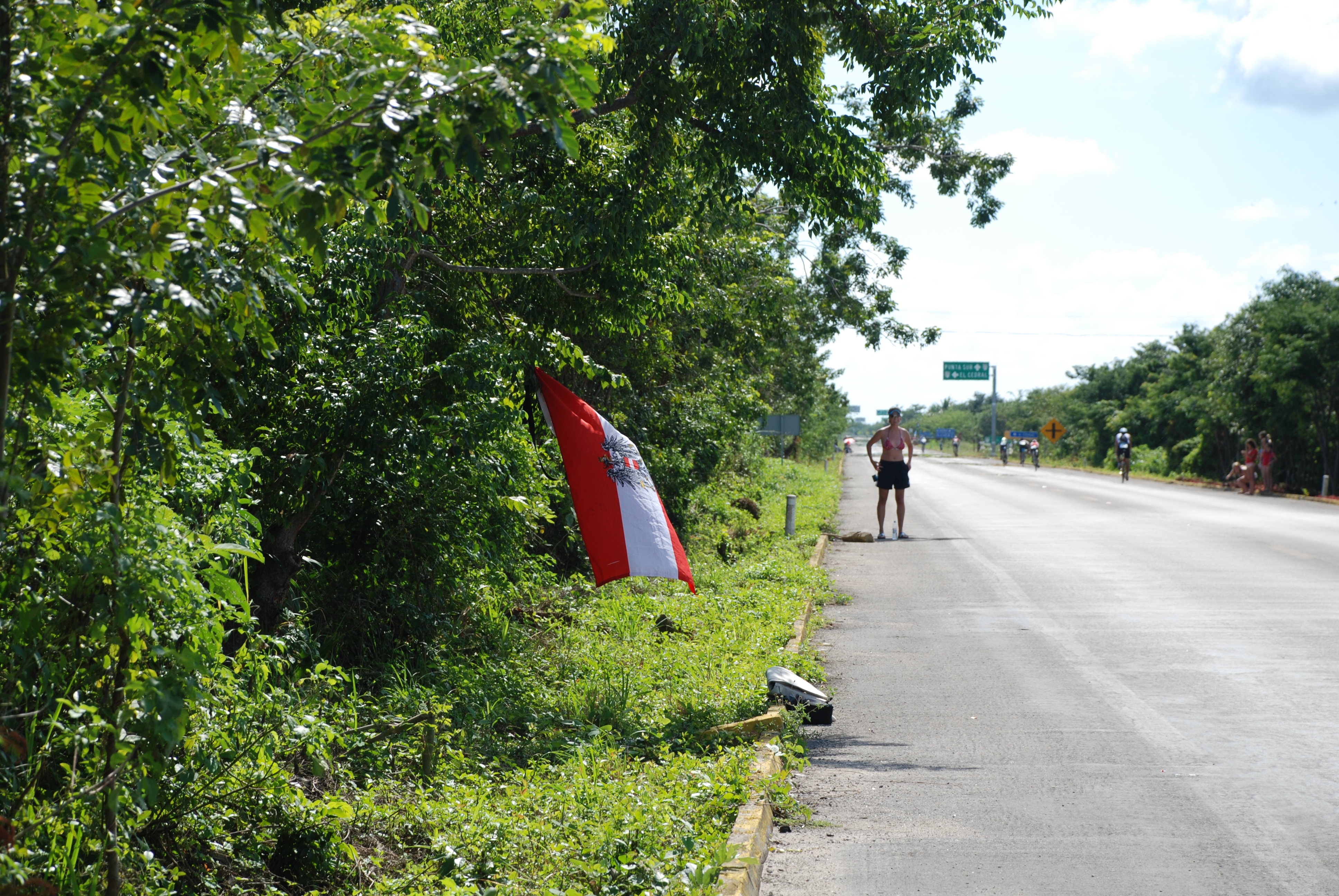 DSC_0349.JPG