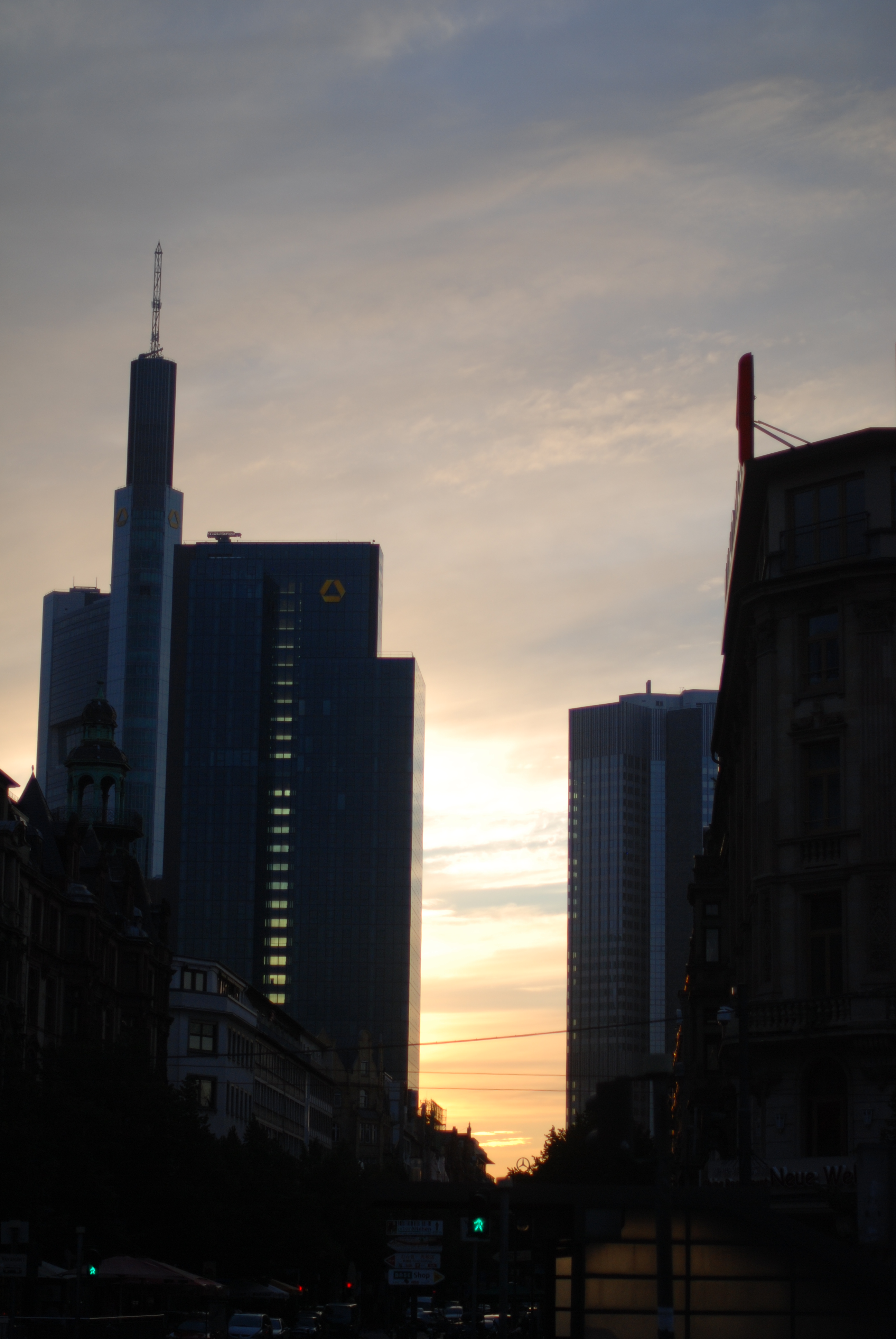 DSC_1593.JPG